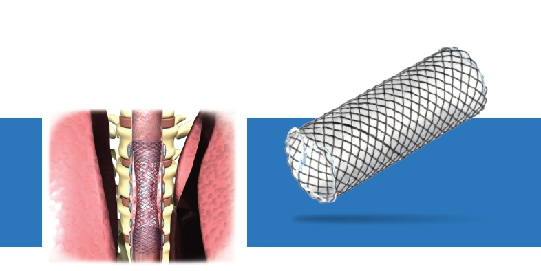 1702024506136 微信截圖_20231208163027